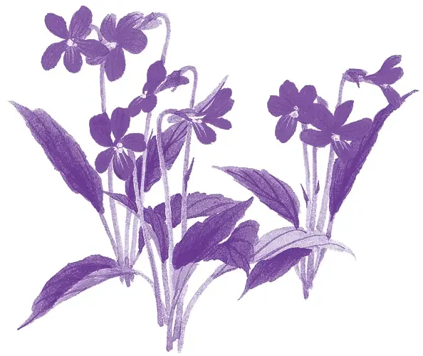 有料老人ホーム夢別邸すみれが丘 | 医療法人社団 山本記念会 山本記念病院